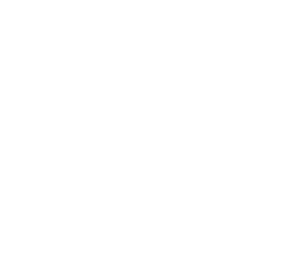 SEEDS CAD